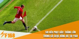 Soi Kèo Phạt Góc: Thắng Lớn Trong Cá Cược Bóng Đá Tại F168
